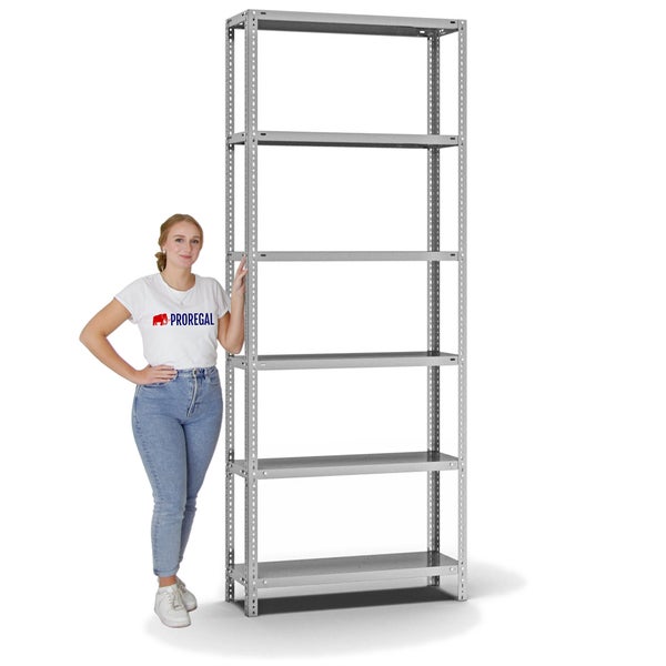 PROREGAL Fachbodenregal Schraubsystem Heavy-Duty Grundregal HxBxT 250 x 100 x 30 cm 6 Ebenen Fachlast 350 kg Beidseitig Nutzbar Verzinkt