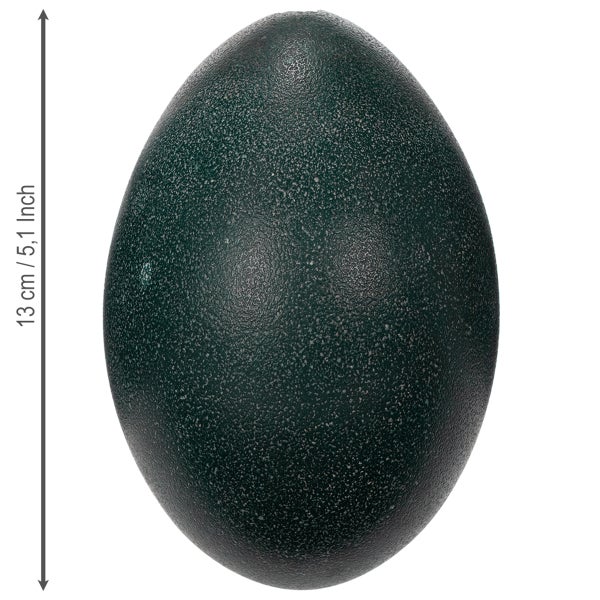 Dekoratives Straußenei mit einer Höhe von 13 Zentimetern.