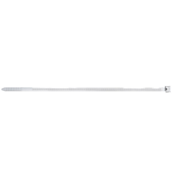 Fischer 100x Kabelbinder BN 4,8 x 250 mm transparent - 37582