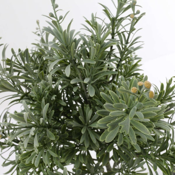 Künstliche Grünpflanze mit feinen Blättern und kleinen gelben Knospen.