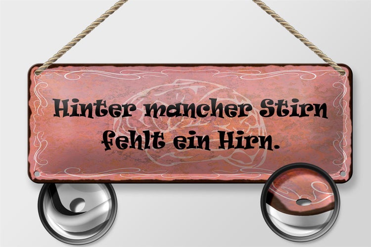Blechschild Spruch 27x10cm hinter mancher Stirn fehlt Hirn Dekoration