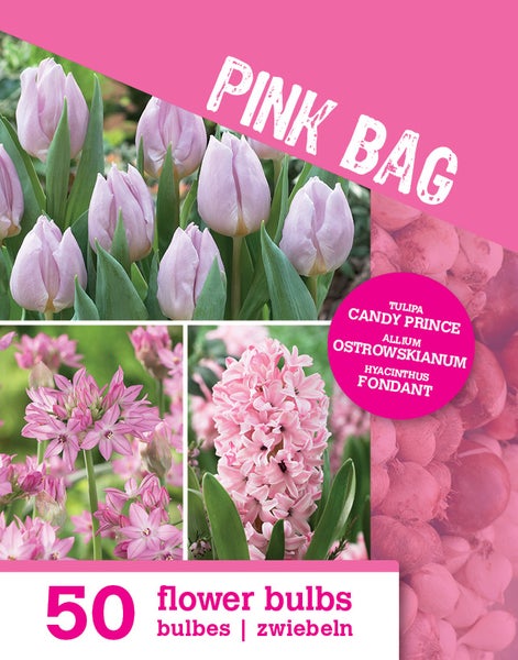 Blumenzwiebel-Set Pink Bag mit 50 Stück, Tulipa Candy Prince, Allium Ostrowskianum und Hyacinthus Fondant, Mischung aus rosa Blüten.