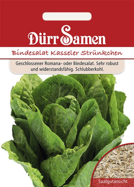 Samentüte für Bindesalat Kasseler Strünkchen von Dürr Samen mit Abbildung eines Salatkopfes und Ansicht der Samen.