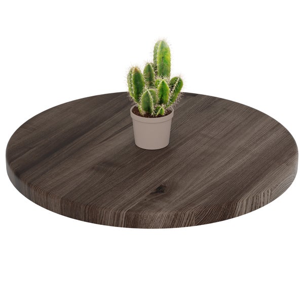 Runde Holzplatte mit sichtbarer Maserung und einem kleinen Kaktus im Topf.