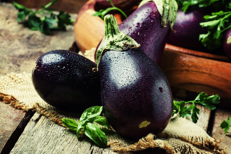 SAFLAX Garden to go - BIO - Aubergine - Black Beauty - Solanum melongena - 25 Samen - Mit Topf, Klima - Deckel und Anzuchtsubstrat