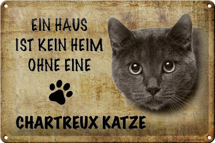 Blechschild Spruch 30x20cm Chartreux Katze ohne kein Heim
