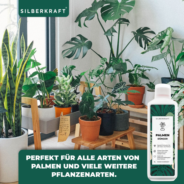 SILBERKRAFT Palmen Bio-Dünger – 1 Liter