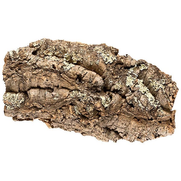 Natur-Korkrinde für Terrarien und Dekoration, unregelmäßig geformt mit rauer Struktur.