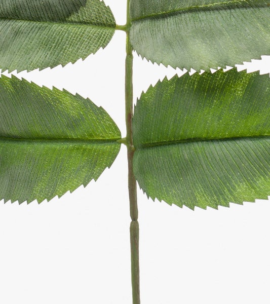 Künstlicher Zweig Honigstrauch Pollock, grün, 65cm - Kunst Melianthus Zweig