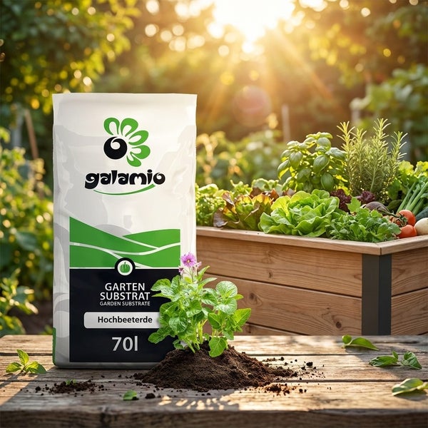 Galamio Gartensubstrat Hochbeeterde 70 Liter Sack neben einer Pflanze in Erde auf Holz vor einem Hochbeet mit Gemüse und Kräutern im hellen Garten.