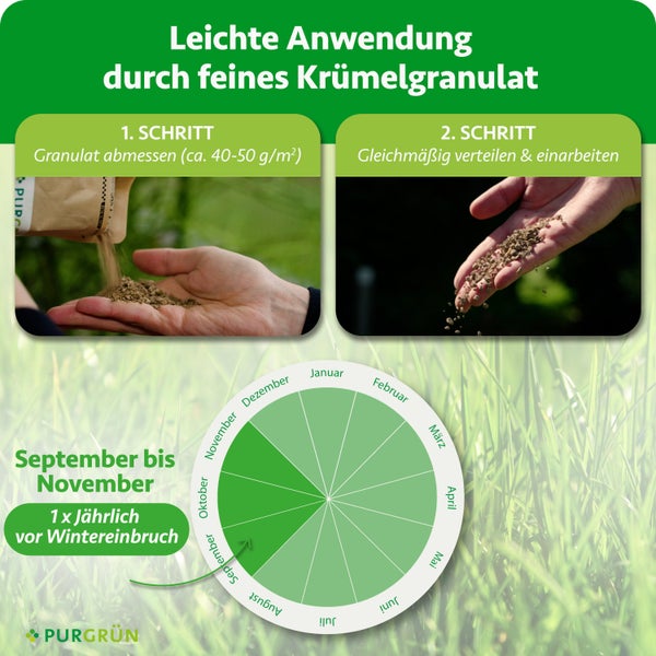 Infografik zur Düngeranwendung: Granulat abmessen, circa 40 bis 50 Gramm pro Quadratmeter, und von September bis November gleichmäßig verteilen.