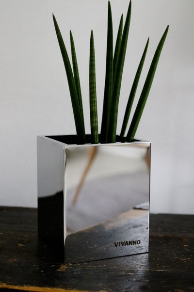 Moderner würfelförmiger Pflanzkübel aus poliertem Edelstahl mit einer Sansevieria-Pflanze auf einem Holztisch. VIVANNO Logo.