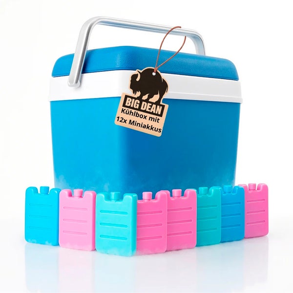 Blaue Kühlbox mit Tragegriff und zwölf Mini-Kühlakkus