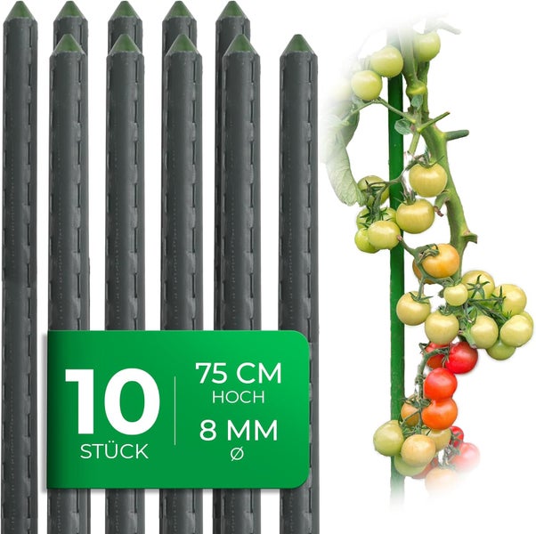 Set aus 10 geriffelten Pflanzstäben mit 75 Zentimeter Höhe und 8 Millimeter Durchmesser, abgebildet mit einer Tomatenpflanze.