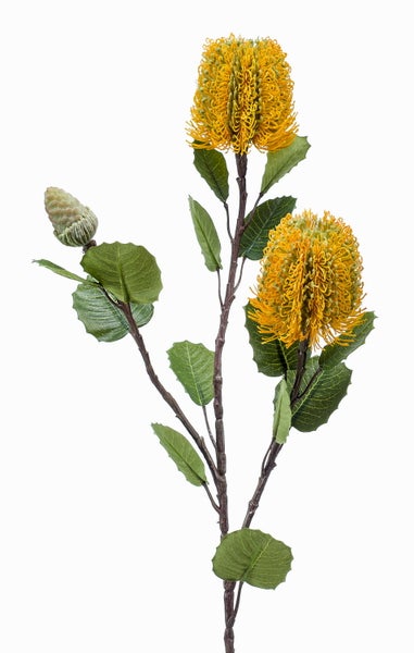 Künstlicher Banksia-Zweig mit zwei gelben Blüten, einer Knospe und grünen Blättern.
