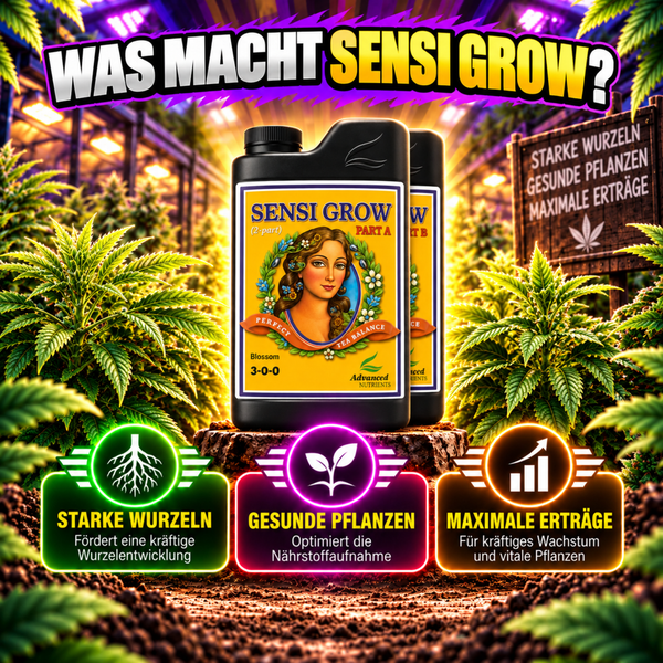 Sensi Grow Pflanzendünger in zwei Teilen zur Förderung von Wurzelentwicklung Wachstum und Ertrag in einer professionellen Grow Umgebung
