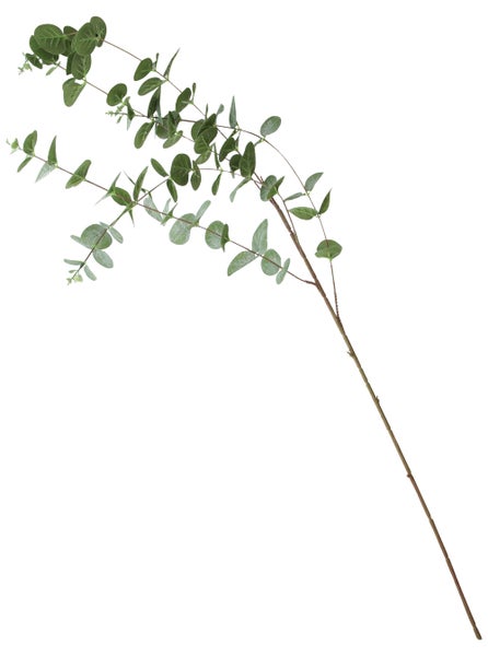 FRANK FLECHTWAREN | Zweig Eukalyptus, 2er Set, KUNSTSTOFF, Länge 107 cm