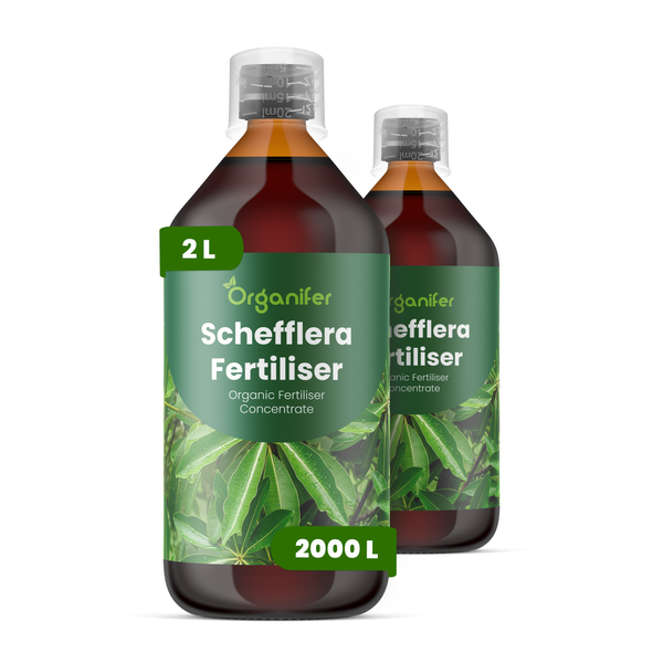 Organifer Schefflera Dünger, organisches Düngerkonzentrat, 2 Liter Flasche, ergibt 2000 Liter