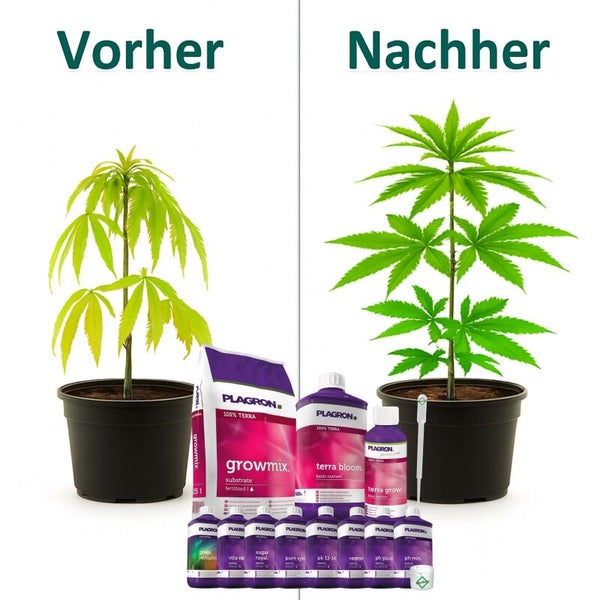 Vorher-Nachher-Vergleich des Pflanzenwachstums mit Plagron Growmix, Terra Bloom, Terra Grow und weiteren Düngemitteln sowie Nährstoffen.