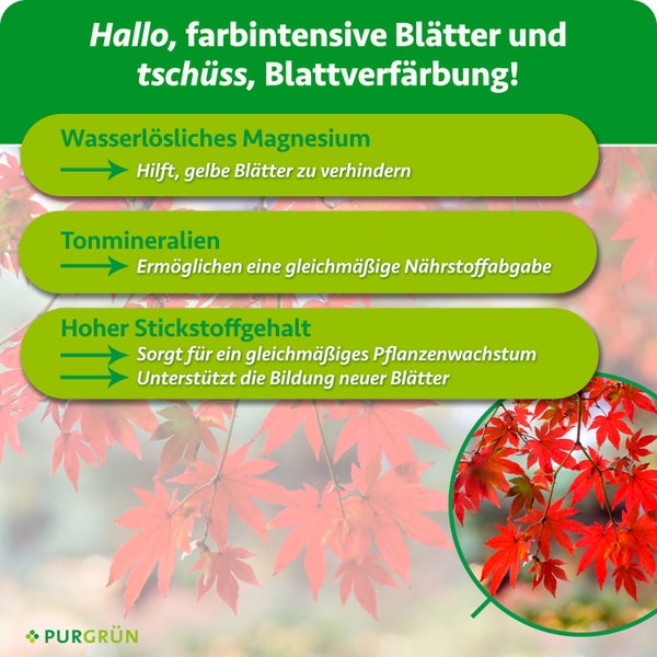 Infografik zu Pflanzendünger mit Angaben zu Magnesium, Tonmineralien und Stickstoffgehalt für Blätter von Purgrün.
