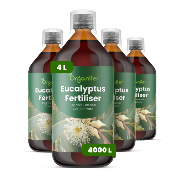 Vergleich von Organifer Eukalyptus-Dünger mit anderen Produkten. Vorteile wie starke Wurzeln, Trockenresistenz und vinassefreie Rezeptur. Organifer Logo.