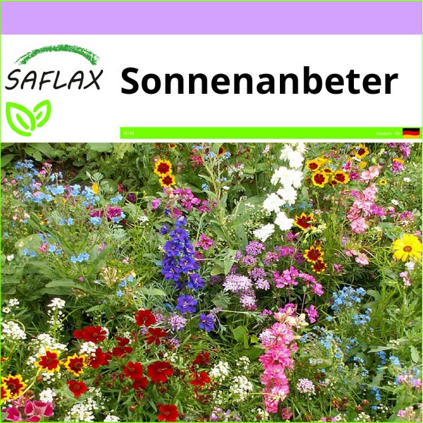 SAFLAX  - Sonnenanbeter - Mix - 1000 Samen