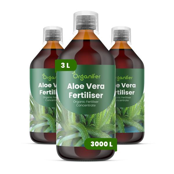 Organifer Aloe Vera Dünger, organisches Düngerkonzentrat, drei Flaschen für insgesamt 3000 Liter Gießwasser.