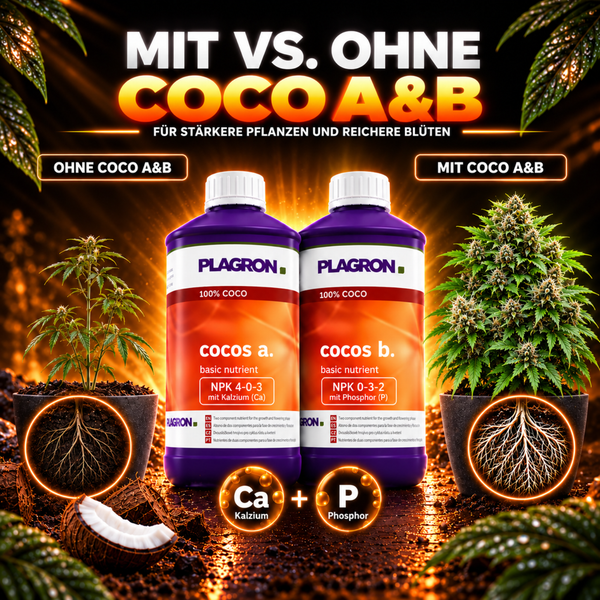 Plagron Cocos A und B Grunddünger Flaschen mit grafischem Vergleich des Pflanzenwachstums mit und ohne Nährstoffzugabe.