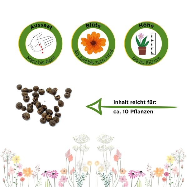 Schwarzäugige Susanne Mischung Samen von Deine Gartenwelt