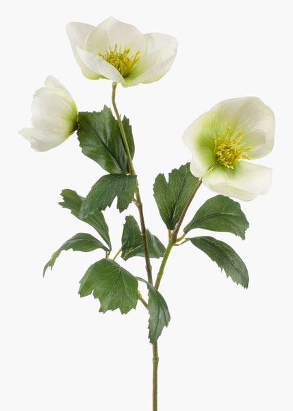 Künstlicher Zweig Christrose mit drei weißen Blüten und grünen Blättern.