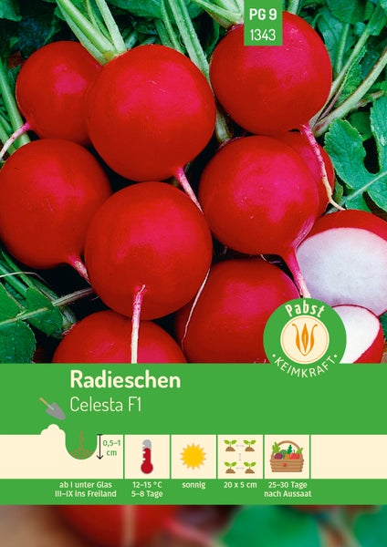 Samenpaket für Radieschen Celesta F1 mit runden roten Radieschen, Pabst Logo und Anbauinformationen wie Saattiefe und Keimtemperatur.