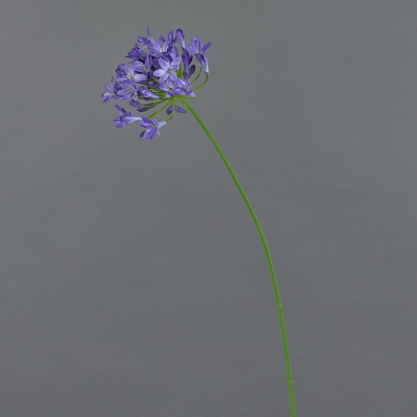 Künstliche Schmucklilie Agapanthus in Violett mit mehreren Blüten an einem Stiel.
