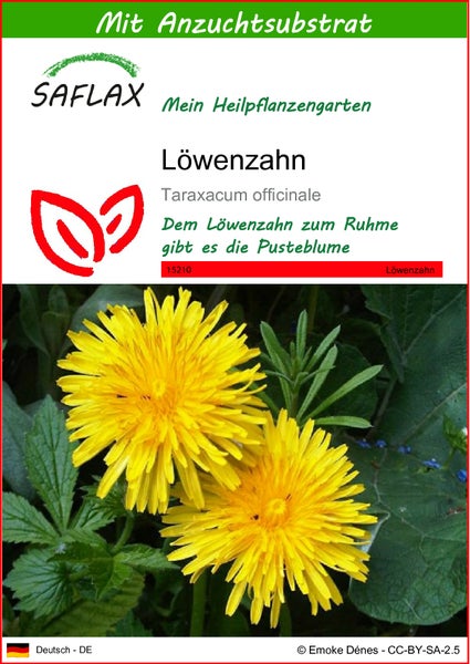 SAFLAX  - Löwenzahn - Taraxacum officinale - 200 Samen - Mit keimfreiem Anzuchtsubstrat