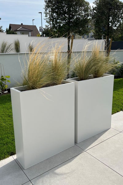 Zwei große weiße rechteckige Pflanzkübel mit Ziergras auf einer modernen Terrasse neben einer Rasenfläche.