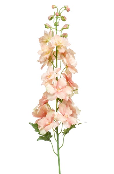Künstlicher Rittersporn mit lachsfarbenen Blüten und grünem Stiel.