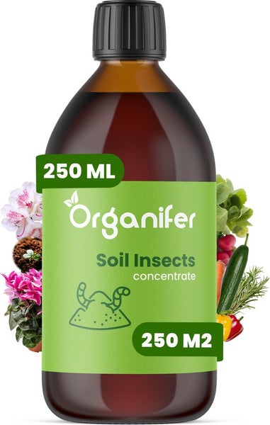 Soil Insects Bodeninsekten-Konzentrat - 250 ml für 250 m2 - Organifer