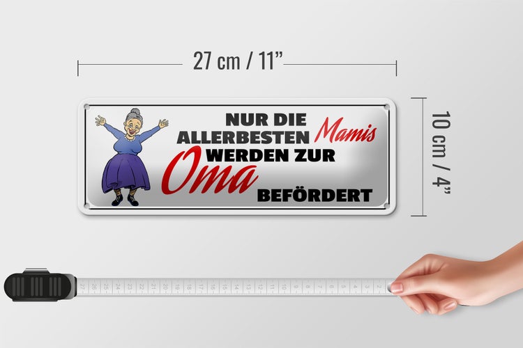 Blechschild Spruch 27x10cm zur Oma befördert Dekoration