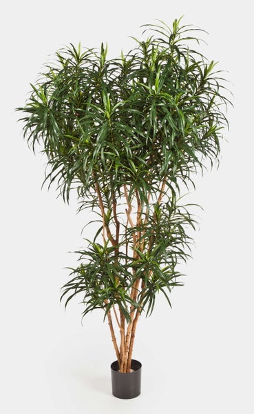 Künstliche Dracaena mit grünen Blättern und mehreren Stämmen in einem schwarzen Topf.