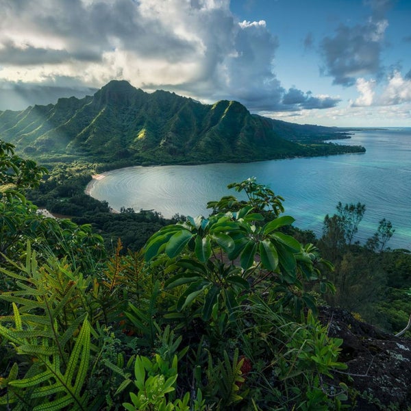 Landschaft mit Bergen, Bucht und Vegetation im Vordergrund