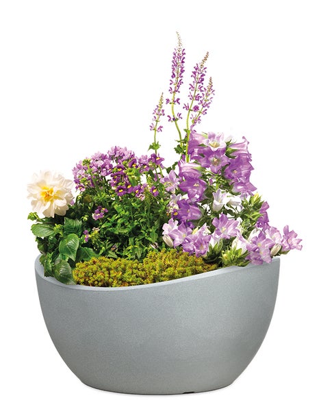 Scheurich Wave Globe Bowl 40, Pflanzschale/Blumentopf/Pflanzkübel, rund,  aus Kunststoff Farbe: Stony Grey, 39,3 cm Durchmesser, 21 cm hoch, 12 l Vol.