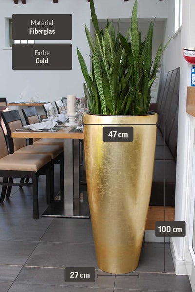 Hohes Pflanzgefäß aus Fiberglas in Gold mit Sansevieria in einem Essbereich. Maße: 100 Zentimeter Höhe, 47 Zentimeter Durchmesser oben.