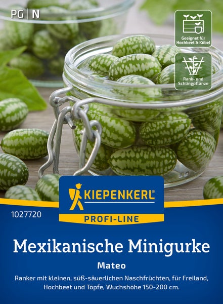 Kiepenkerl Profi Line Samen Mexikanische Minigurke Mateo, Rankpflanze mit kleinen essbaren Früchten, geeignet für Hochbeete und Pflanzkübel.