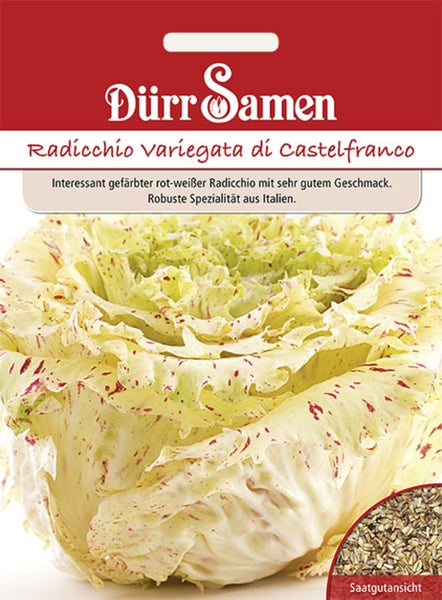 Dürr Samen Logo, Samentüte für Radicchio variegata di Castelfranco mit Abbildung des rot-weiß gesprenkelten Kopfes und Samenansicht.