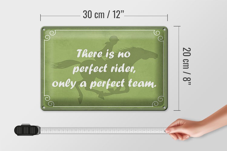 Blechschild Spruch 30x20cm there is no perfect rider only