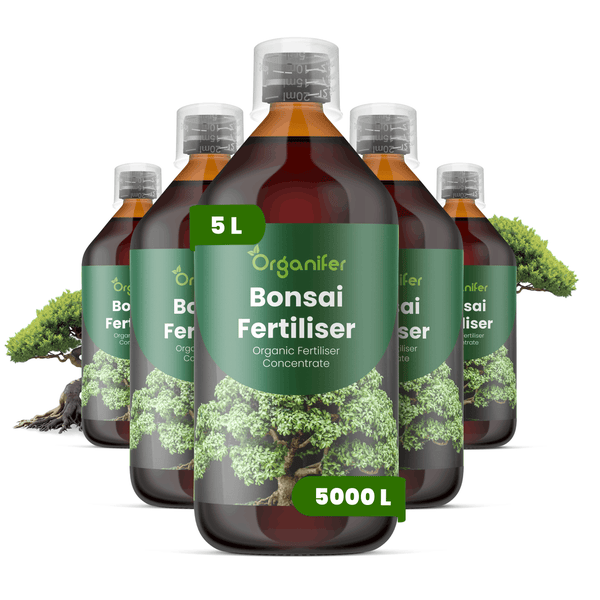 Organifer Bonsai-Dünger, organisches Düngerkonzentrat, fünf Flaschen zu je 5 Litern für 5000 Liter Düngelösung.