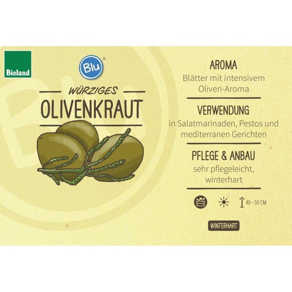 Produktetikett für Blu Olivenkraut mit Bioland Logo, Informationen zu Aroma, Verwendung, Pflege, Winterhärte und Wuchshöhe von 40 bis 50 Zentimeter.