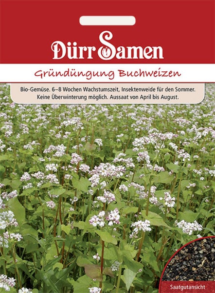 Dürr Samen Logo, Saatgutpackung Gründüngung Buchweizen, biologisches Gemüse, Abbildung von blühenden Buchweizenpflanzen und Samen.