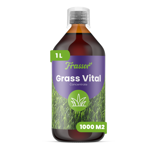 Frassor Grass Vital flüssiges Rasendünger-Konzentrat, 1 Liter Flasche, für 1000 Quadratmeter.
