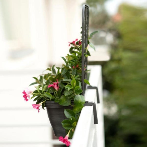2x Balkonkasten mit Spalier für Kletterpflanzen Blumenkasten Geländerkasten 60 Rattan Optik Balkon Geländer Kasten Halterung Wasserspeicher Anthrazit