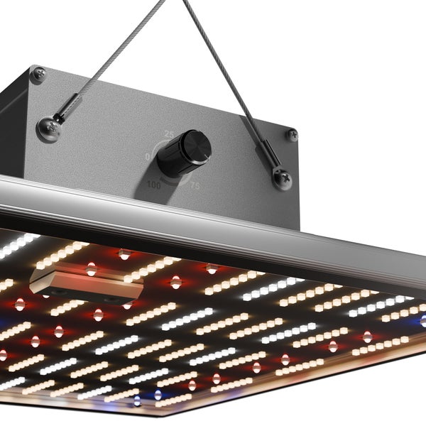 Growbox Komplett Set Deluxe S 150 - für 1 Pflanze, 60x60x160cm, 150W LED